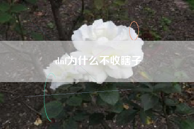 dnf为什么不收瞎子