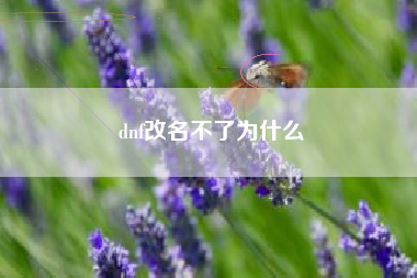 dnf改名不了为什么