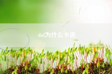 dnf为什么卡退