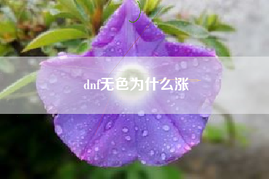 dnf无色为什么涨