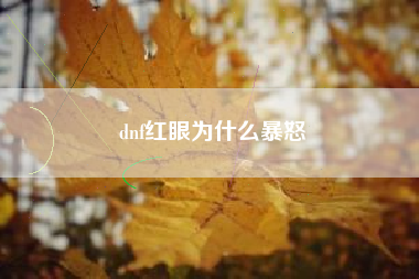 dnf红眼为什么暴怒