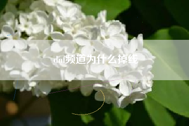 dnf频道为什么掉线