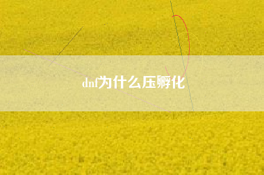 dnf为什么压孵化