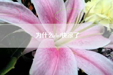 为什么dnf快凉了