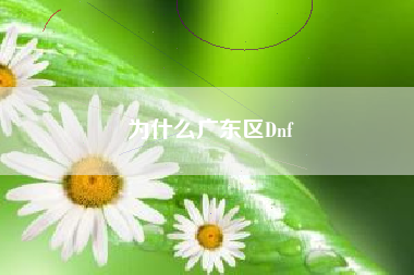 为什么广东区Dnf
