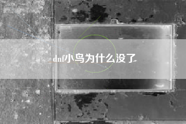 dnf小鸟为什么没了