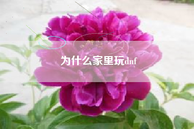 为什么家里玩dnf