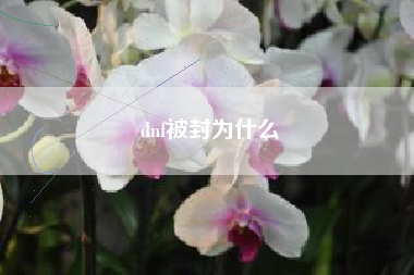 dnf被封为什么