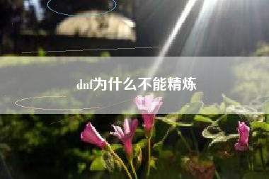 dnf为什么不能精炼