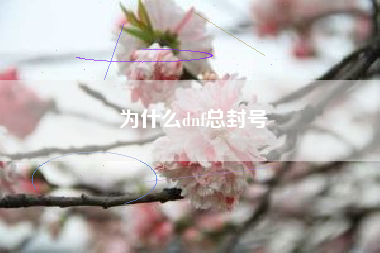 为什么dnf总封号