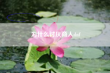 为什么讨厌商人dnf