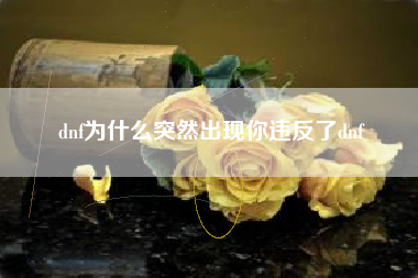 dnf为什么突然出现你违反了dnf