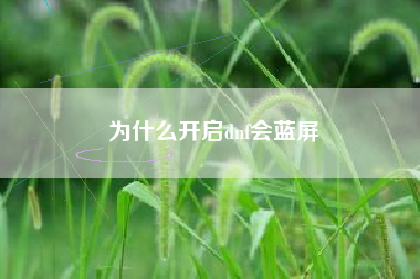 为什么开启dnf会蓝屏