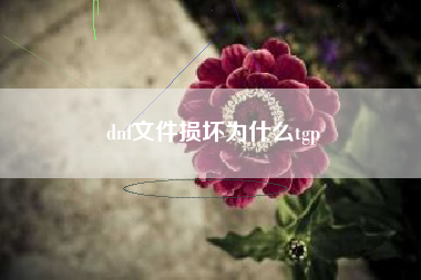 dnf文件损坏为什么tgp