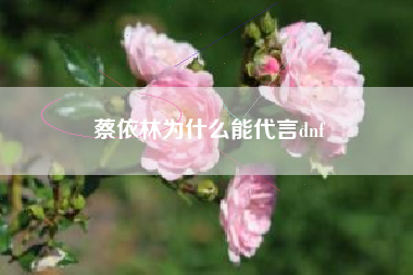 蔡依林为什么能代言dnf