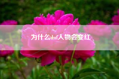 为什么dnf人物会变红