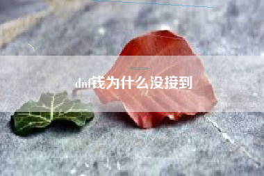 dnf钱为什么没接到
