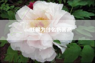 dnf红眼为什么伤害高