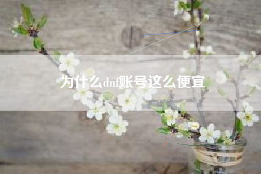 为什么dnf账号这么便宜