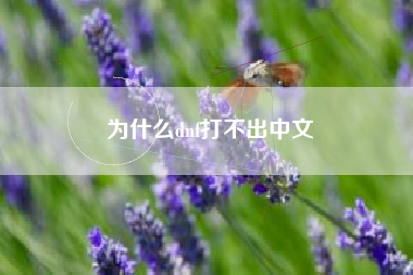 为什么dnf打不出中文