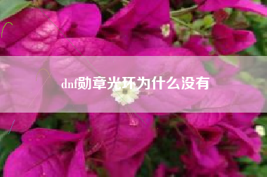 dnf勋章光环为什么没有