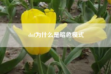dnf为什么是暗色模式
