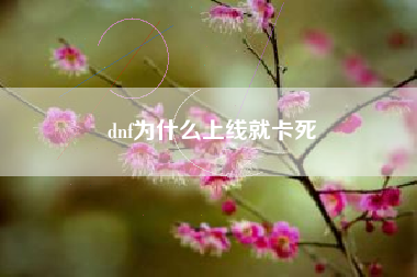 dnf为什么上线就卡死