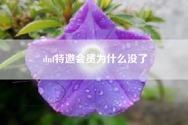 dnf特邀会员为什么没了