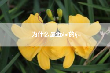 为什么最近dnf的fps