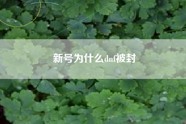 新号为什么dnf被封
