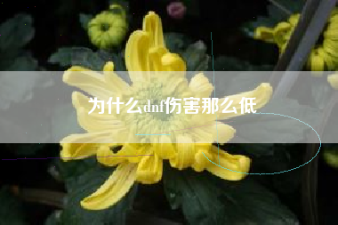 为什么dnf伤害那么低