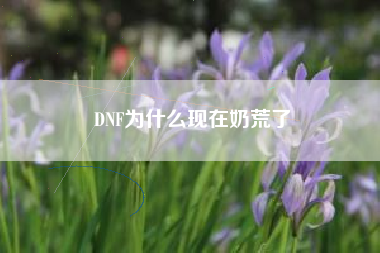DNF为什么现在奶荒了