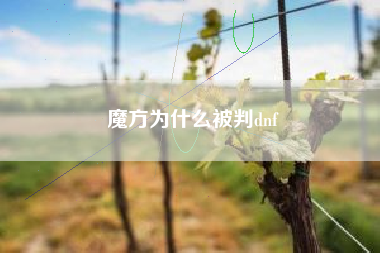 魔方为什么被判dnf