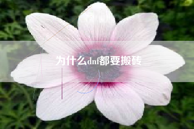 为什么dnf都要搬砖