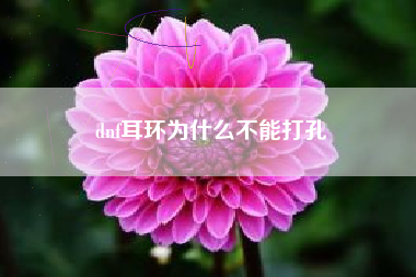 dnf耳环为什么不能打孔