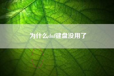 为什么dnf键盘没用了