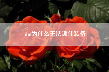 dnf为什么无法锁住装备