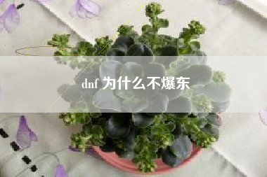 dnf 为什么不爆东
