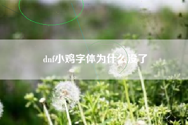 dnf小鸡字体为什么没了
