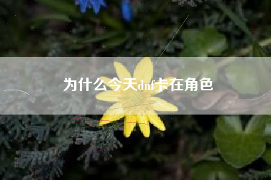 为什么今天dnf卡在角色
