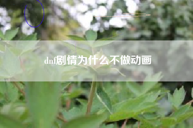 dnf剧情为什么不做动画