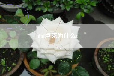 dnf卢克为什么t