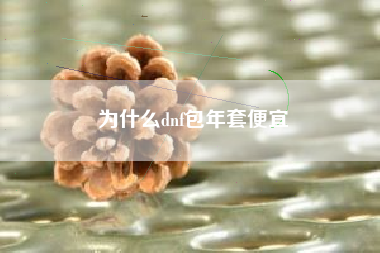 为什么dnf包年套便宜