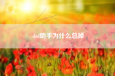 dnf助手为什么总掉