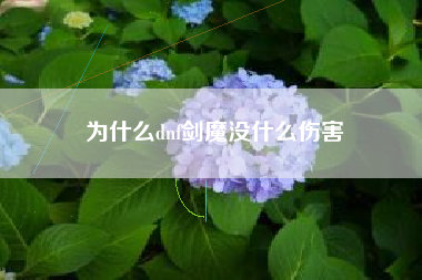 为什么dnf剑魔没什么伤害
