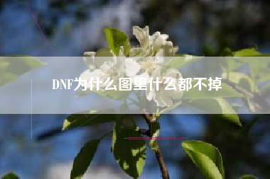 DNF为什么图里什么都不掉
