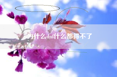 为什么dnf什么都得不了
