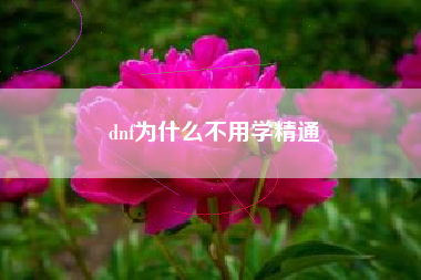 dnf为什么不用学精通