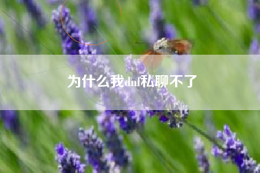 为什么我dnf私聊不了