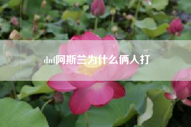 dnf阿斯兰为什么俩人打